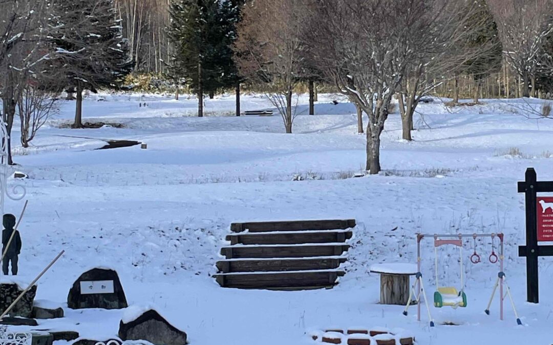 今日は雪が積もりました