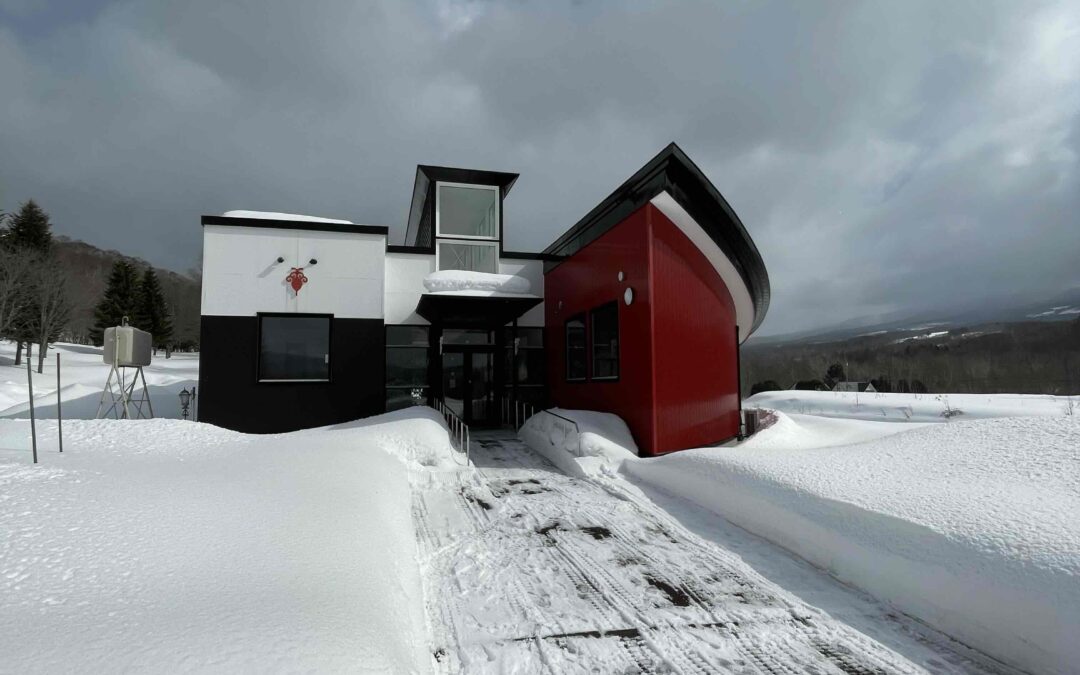 春めいてきました！