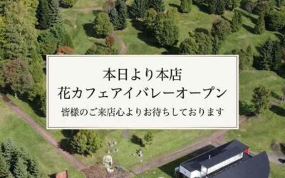 本日オープンです