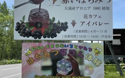 リニューアル