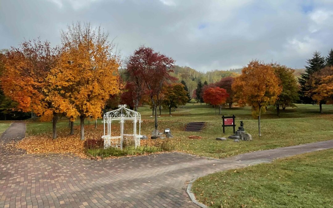 紅葉の秋